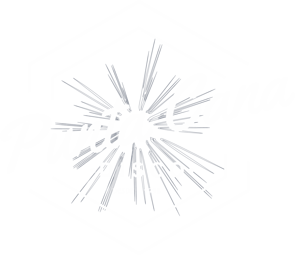 Disco Punta Cana, Punta Cana disco, disco los cristianos